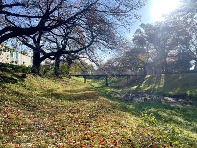 立川公園 | 趣味・マイブーム