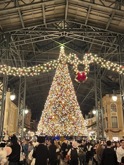 ディズニーランドへ | プライベート