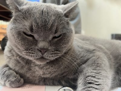 ご自愛ください | マイペット