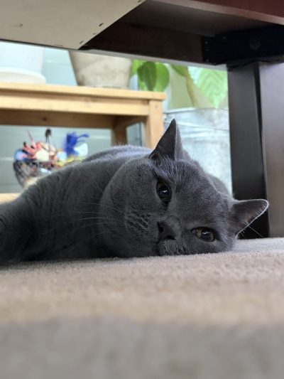 本年もよろしくお願いいたします | プライベート