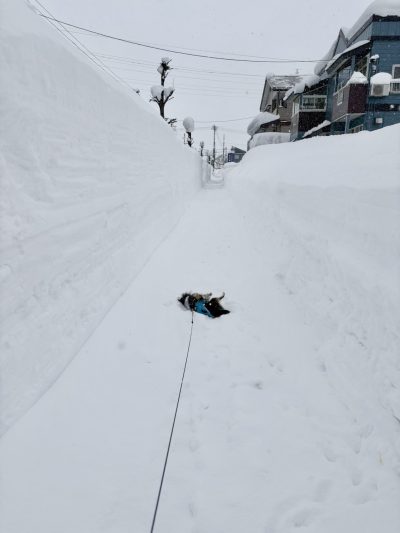 関東とは大違いです　 | プライベート