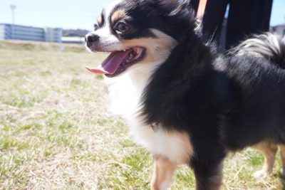 休日 | プライベート