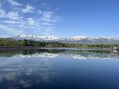 新緑の季節です | プライベート